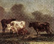 Cows in a Meadow af POTTER, Paulus